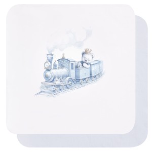 Set 2 PCS - muslin nappies RAYAN